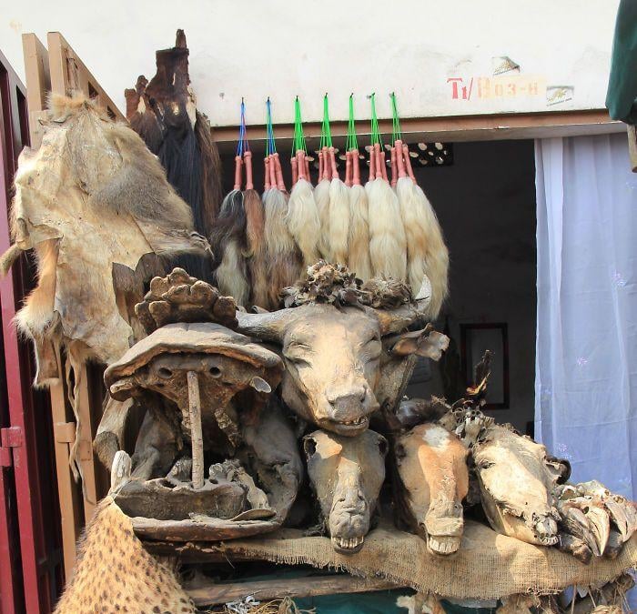 MARABOUT EN FRANCE